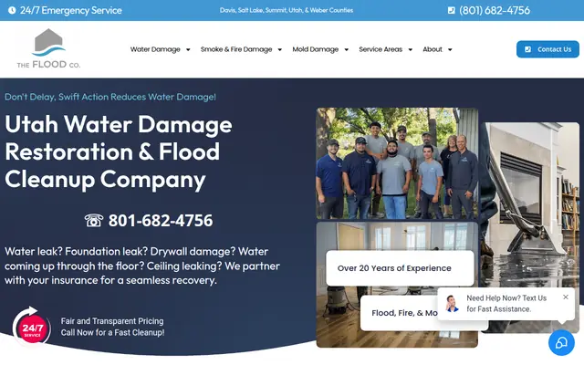 Screenshot of the The Flood Co. homepage as it appeared on 2026-08-30, captured at desktop width.